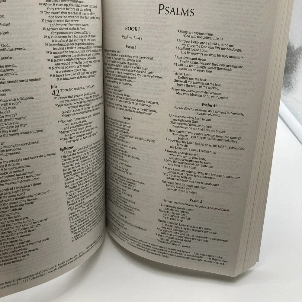 NIV Economy Bible [Blue] by Bíblica Inc (2011) Paperback) Vacation Bible School